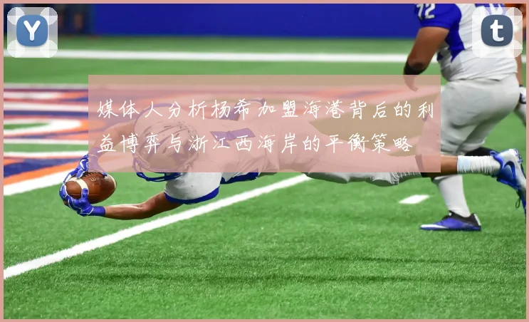 媒体人分析杨希加盟海港背后的利益博弈与浙江西海岸的平衡策略